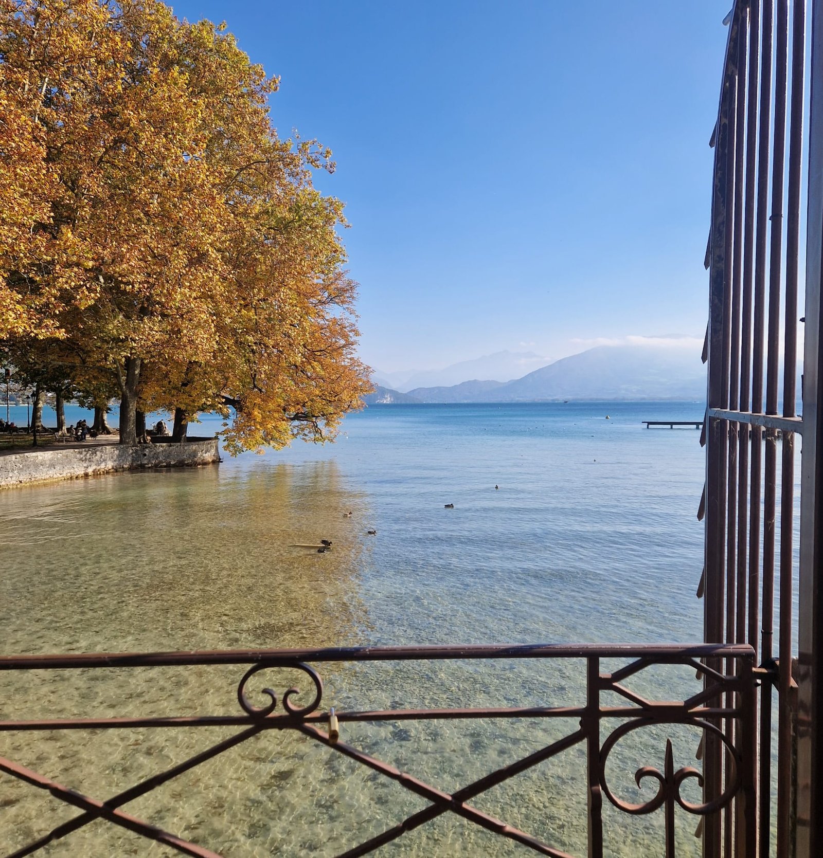 Le lac d'Annecy et ses rives dorées